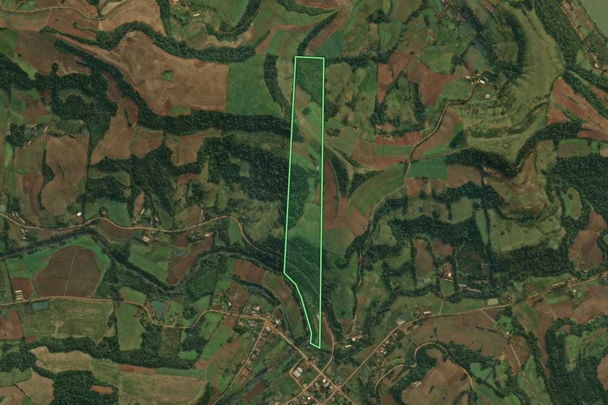 Imagem de satélite do imóvel rural em Caiçara (RS), com o contorno declarado no CAR desenhado por cima.