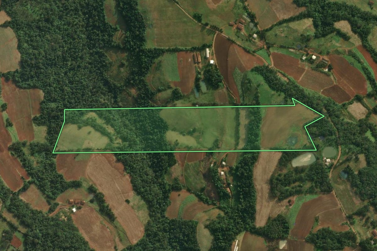 Imagem de satélite do imóvel rural em Caiçara (RS), com o contorno declarado no CAR desenhado por cima.