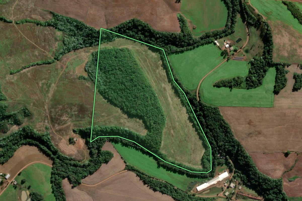Imagem de satélite do imóvel rural em Caiçara (RS), com o contorno declarado no CAR desenhado por cima.