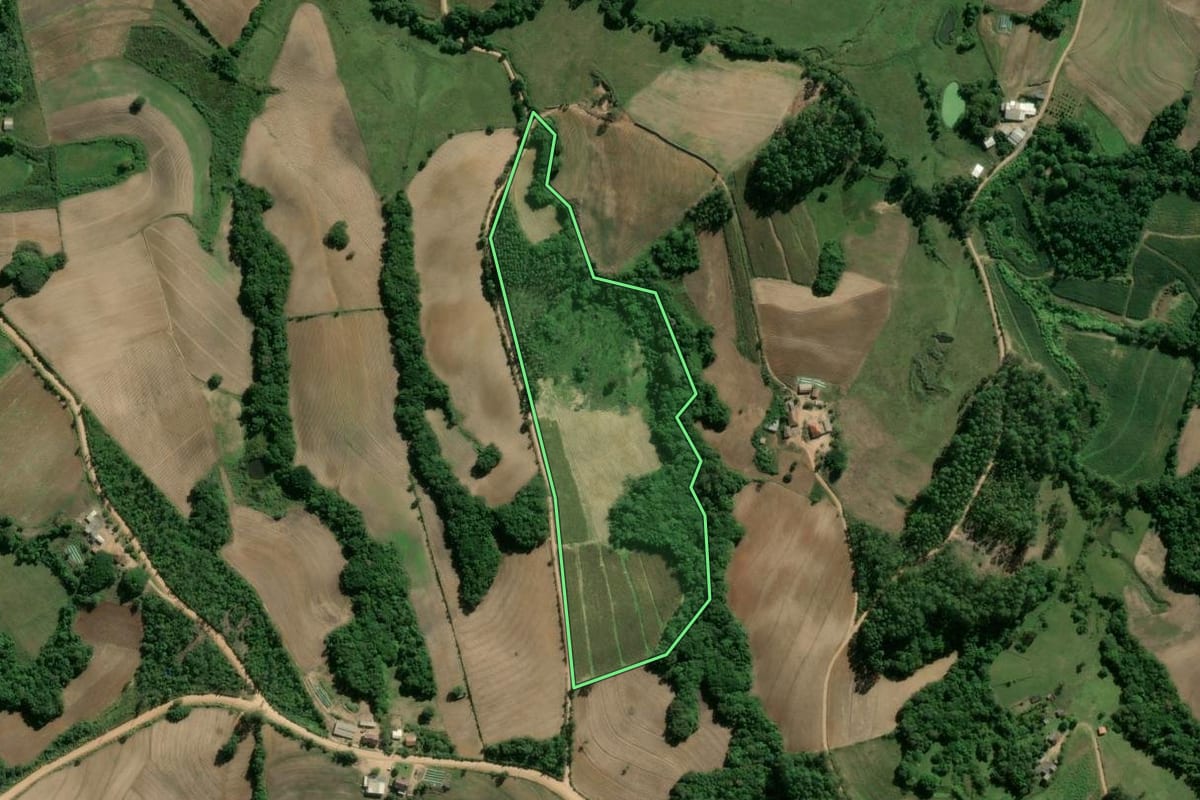 Imagem de satélite do imóvel rural em Camaquã (RS), com o contorno declarado no CAR desenhado por cima.