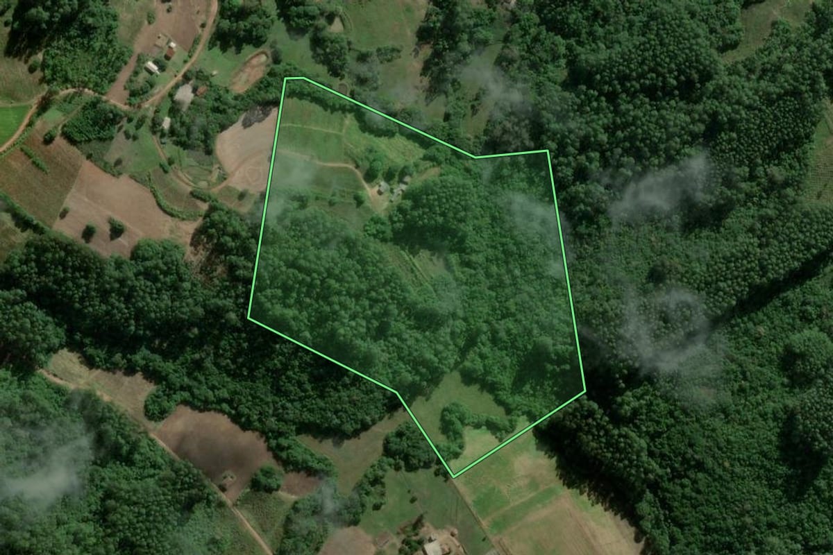 Imagem de satélite do imóvel rural em Camaquã (RS), com o contorno declarado no CAR desenhado por cima.