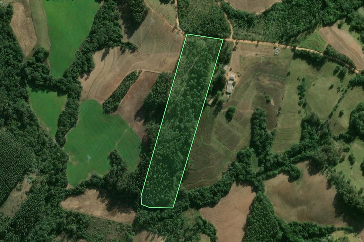 Imagem de satélite do imóvel rural em Camaquã (RS), com o contorno declarado no CAR desenhado por cima.