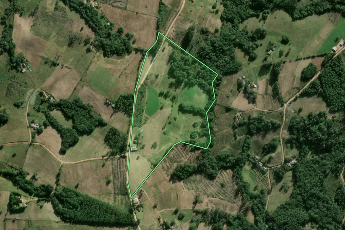 Imagem de satélite do imóvel rural em Camaquã (RS), com o contorno declarado no CAR desenhado por cima.