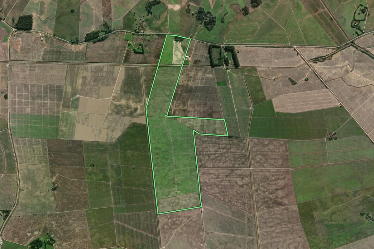 Imagem de satélite do imóvel rural em Camaquã (RS), com o contorno declarado no CAR desenhado por cima.