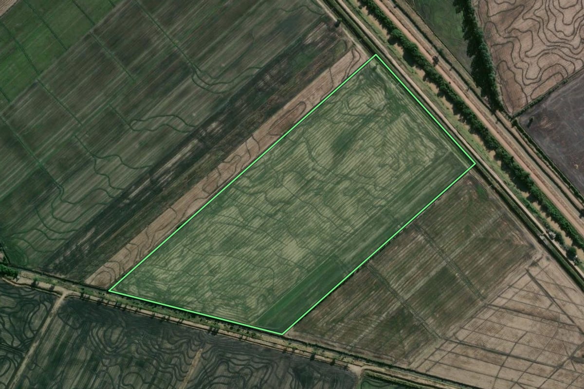 Imagem de satélite do imóvel rural em Camaquã (RS), com o contorno declarado no CAR desenhado por cima.