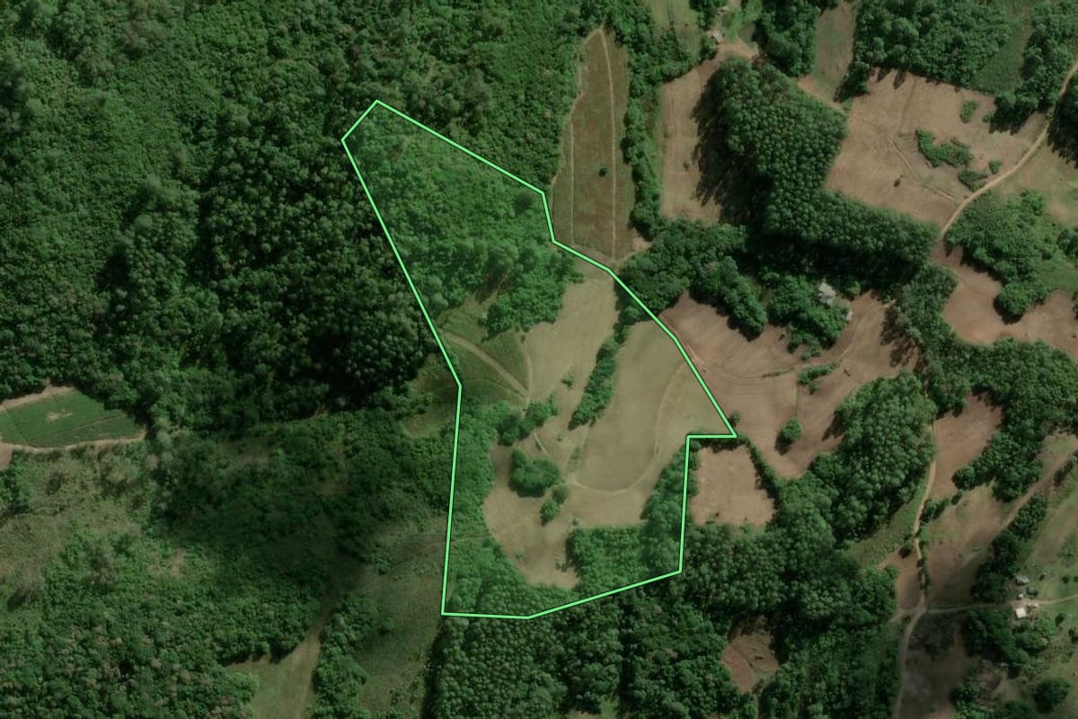 Imagem de satélite do imóvel rural em Camaquã (RS), com o contorno declarado no CAR desenhado por cima.