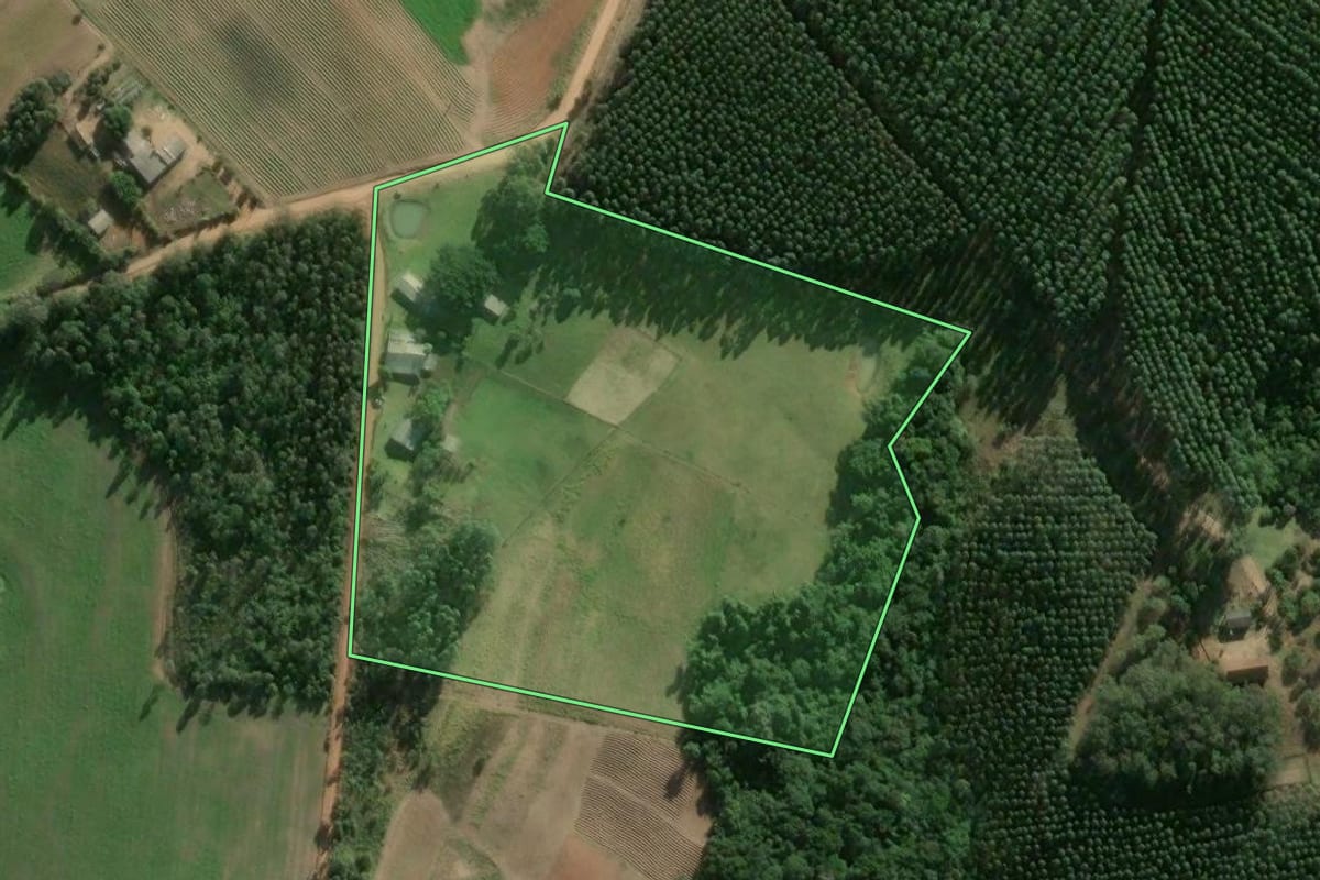 Imagem de satélite do imóvel rural em Camaquã (RS), com o contorno declarado no CAR desenhado por cima.