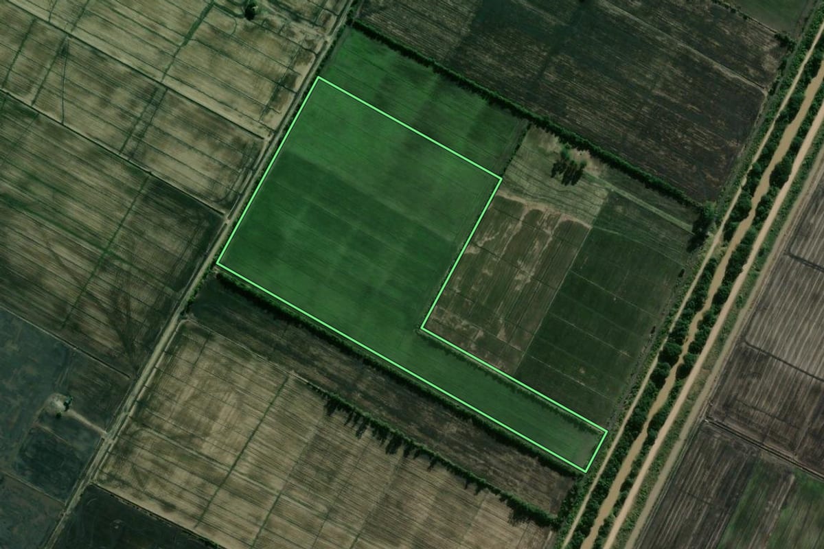 Imagem de satélite do imóvel rural em Camaquã (RS), com o contorno declarado no CAR desenhado por cima.