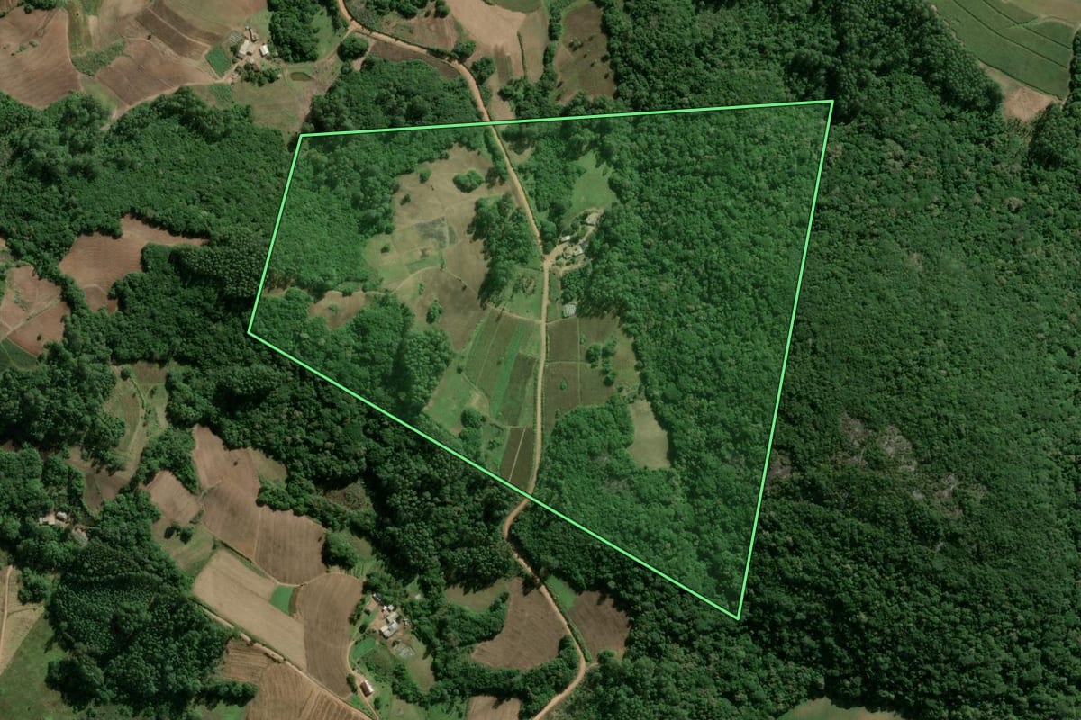 Imagem de satélite do imóvel rural em Camaquã (RS), com o contorno declarado no CAR desenhado por cima.