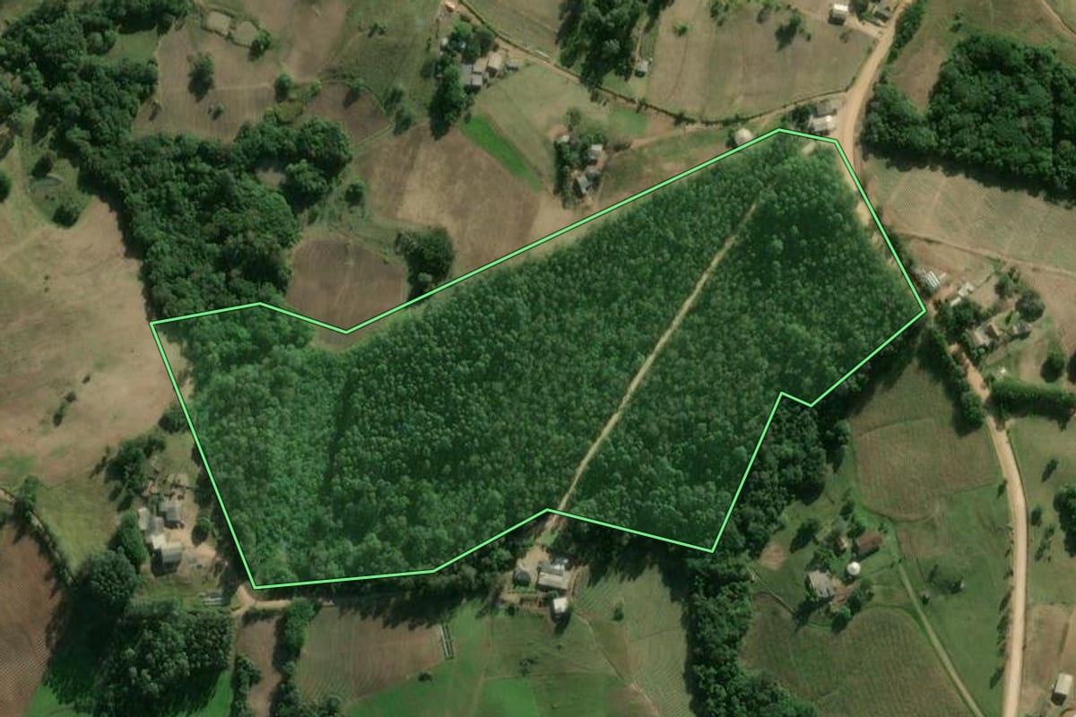 Imagem de satélite do imóvel rural em Camaquã (RS), com o contorno declarado no CAR desenhado por cima.