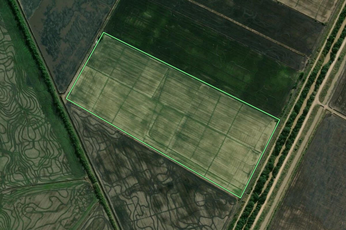 Imagem de satélite do imóvel rural em Camaquã (RS), com o contorno declarado no CAR desenhado por cima.