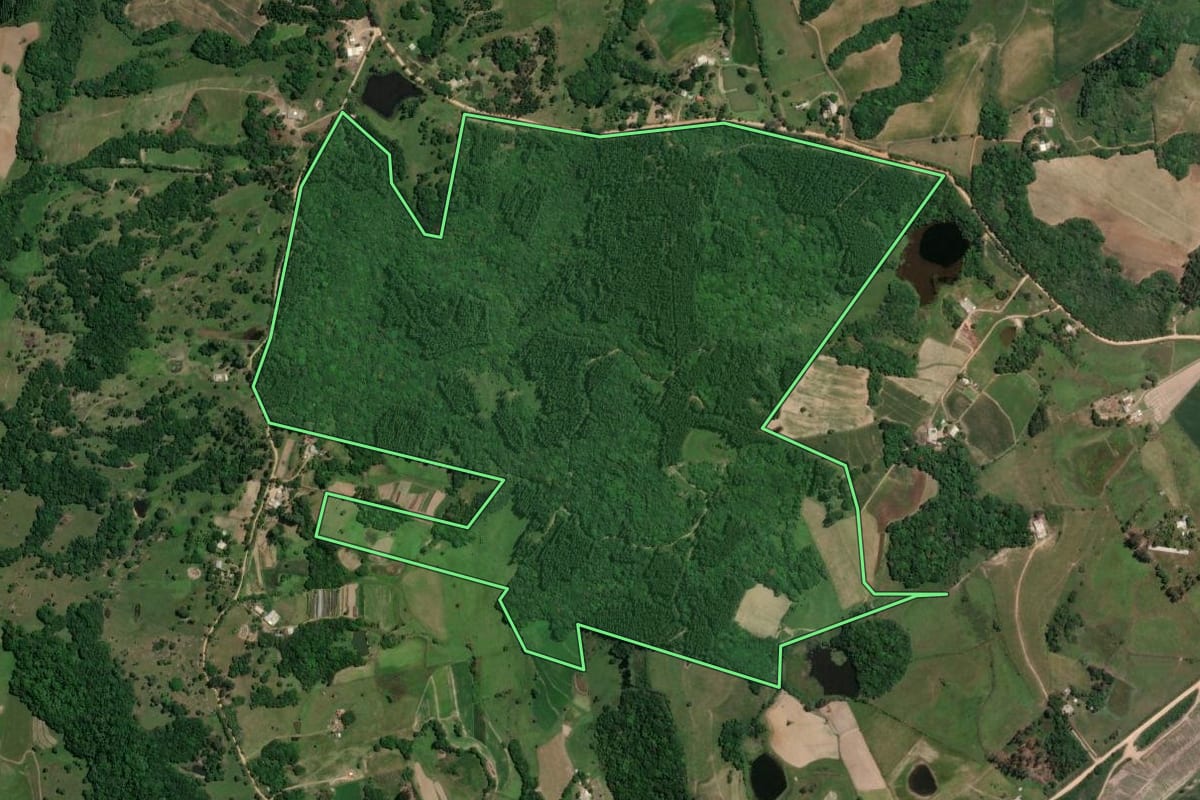 Imagem de satélite do imóvel rural em Camaquã (RS), com o contorno declarado no CAR desenhado por cima.