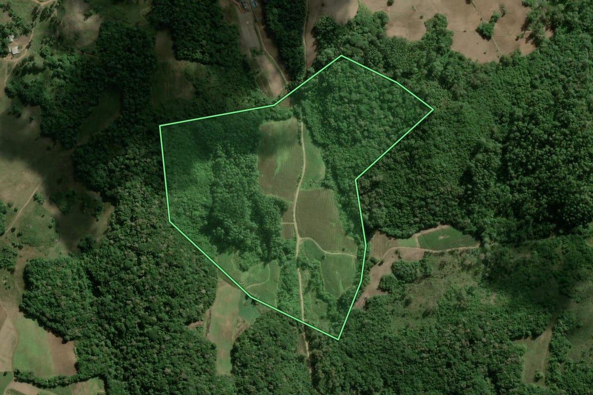 Imagem de satélite do imóvel rural em Camaquã (RS), com o contorno declarado no CAR desenhado por cima.