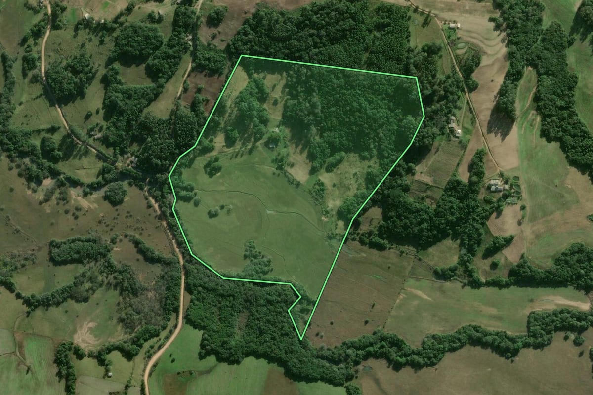 Imagem de satélite do imóvel rural em Camaquã (RS), com o contorno declarado no CAR desenhado por cima.