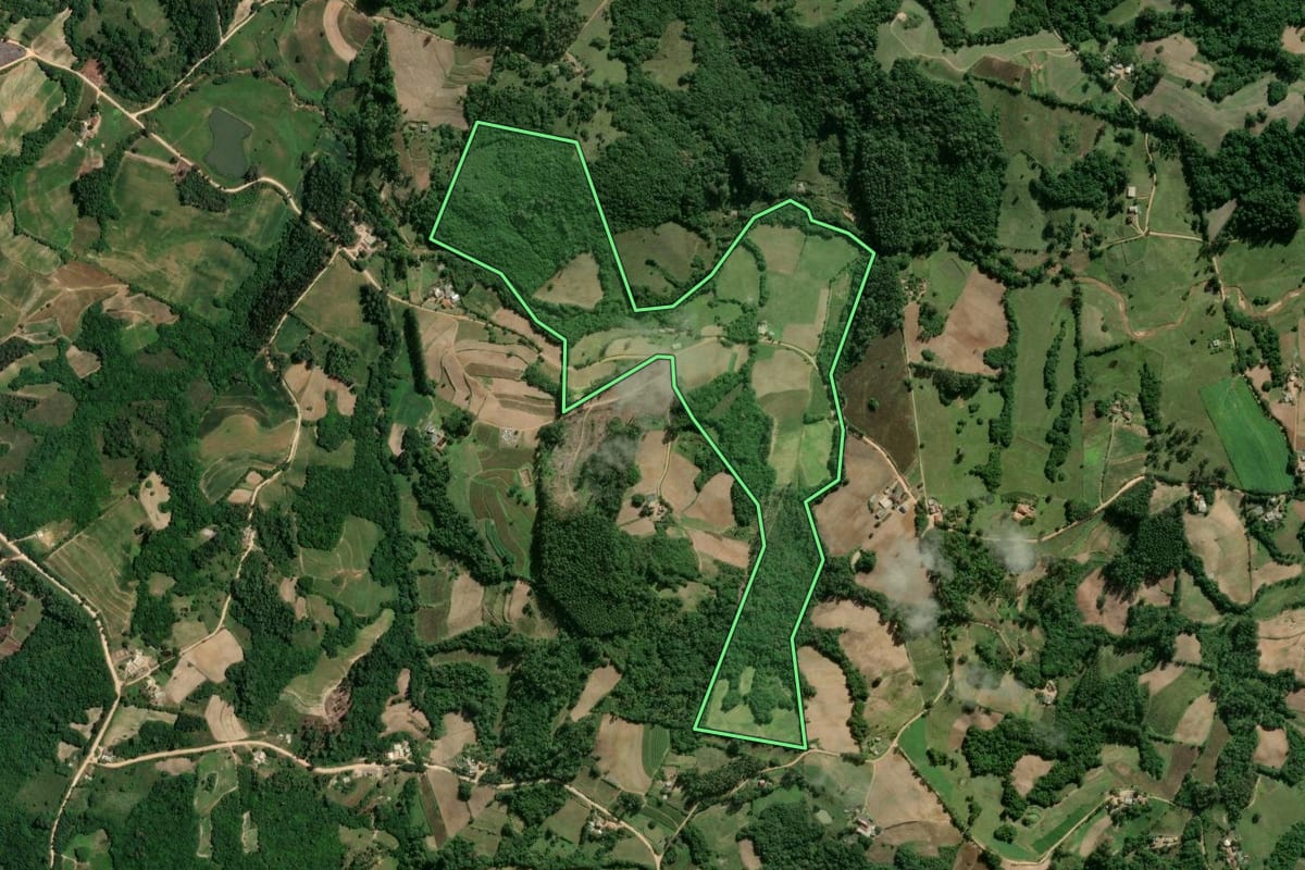 Imagem de satélite do imóvel rural em Camaquã (RS), com o contorno declarado no CAR desenhado por cima.