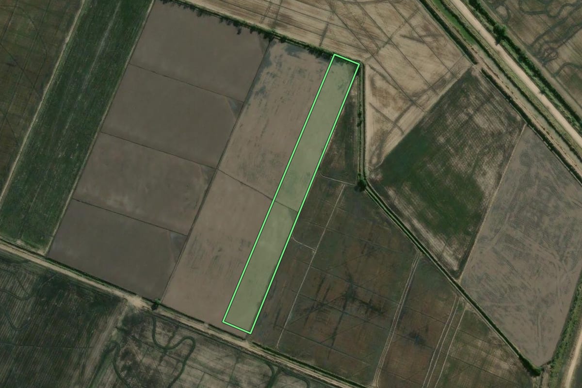 Imagem de satélite do imóvel rural em Camaquã (RS), com o contorno declarado no CAR desenhado por cima.