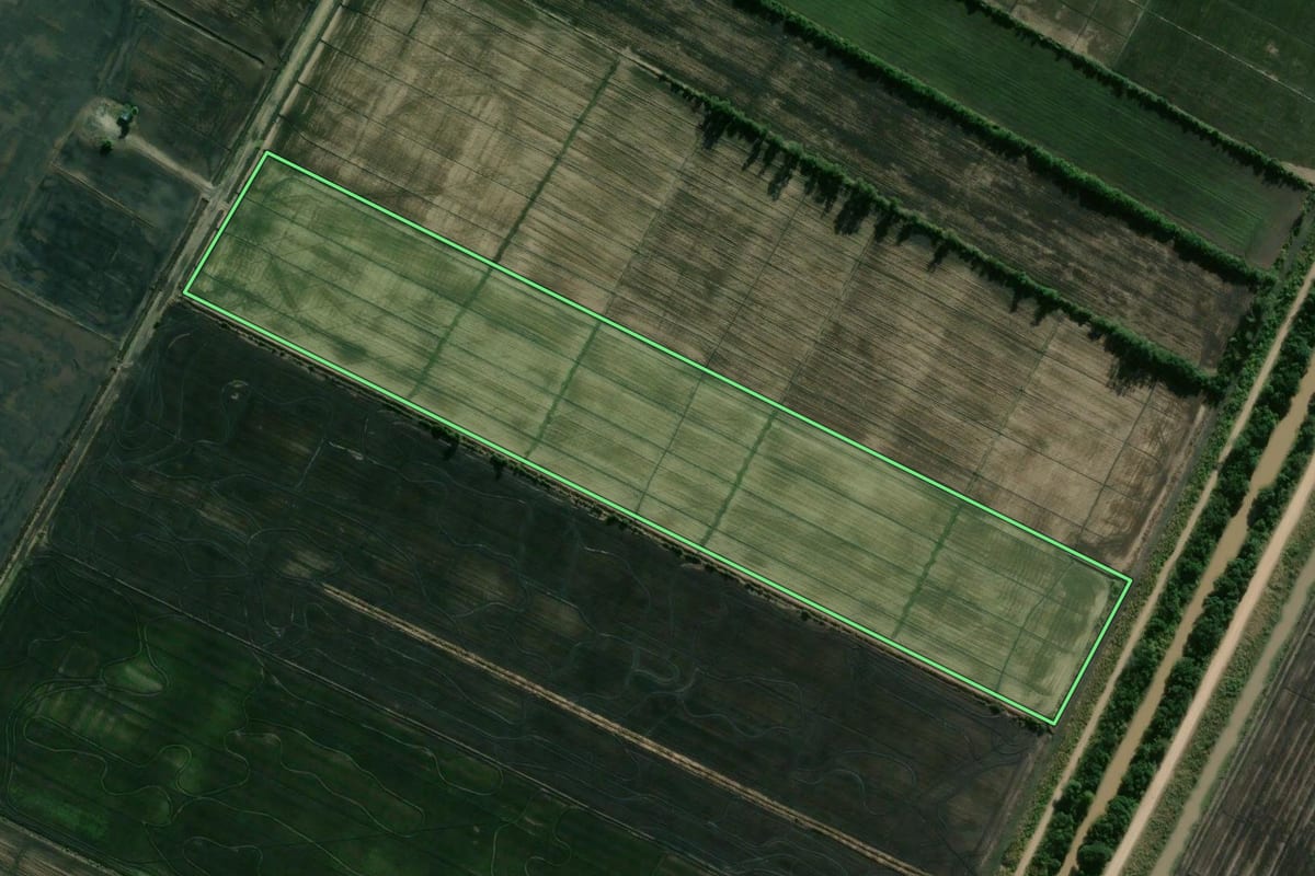 Imagem de satélite do imóvel rural em Camaquã (RS), com o contorno declarado no CAR desenhado por cima.