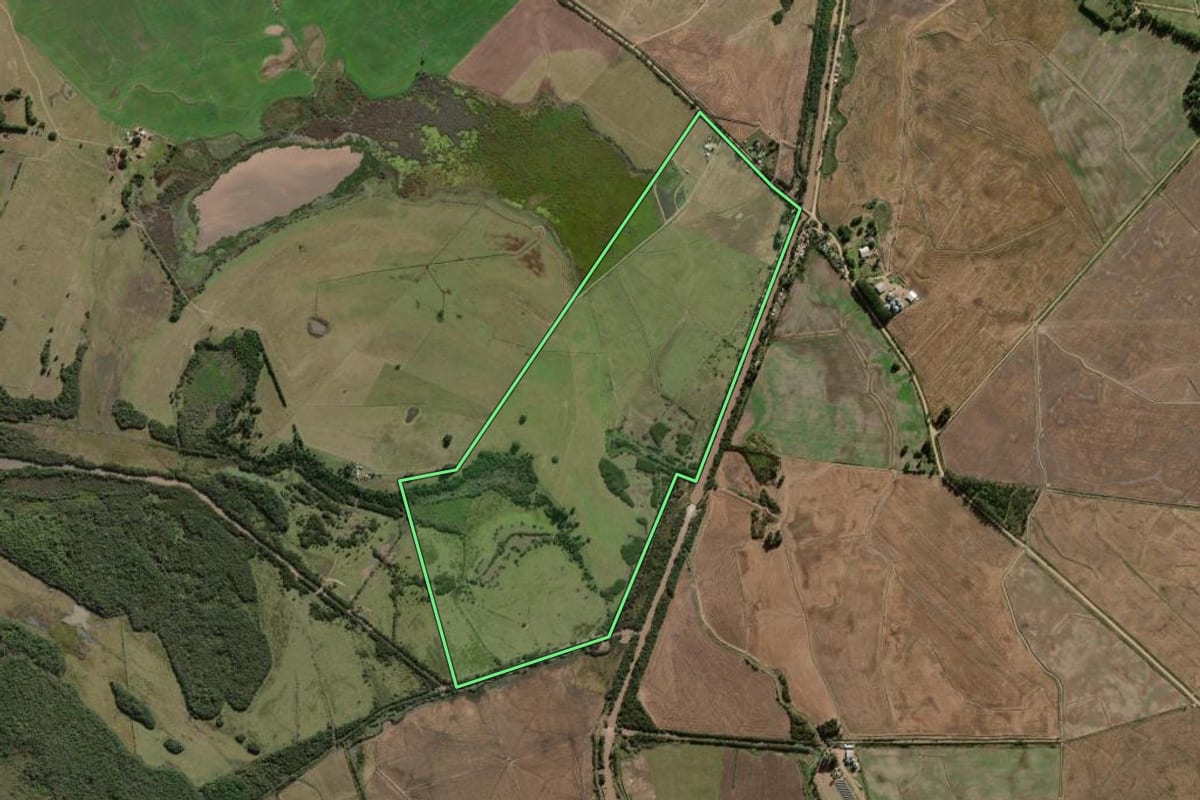 Imagem de satélite do imóvel rural em Camaquã (RS), com o contorno declarado no CAR desenhado por cima.