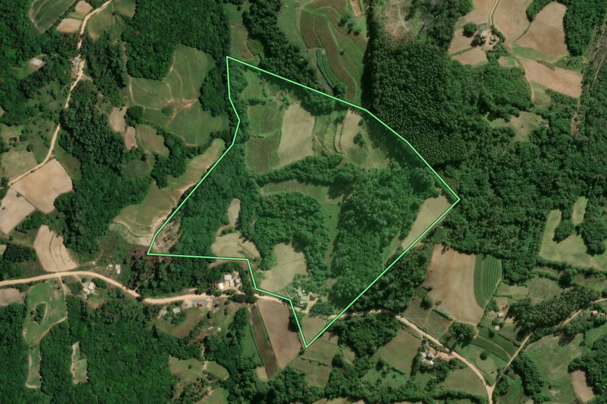 Imagem de satélite do imóvel rural em Camaquã (RS), com o contorno declarado no CAR desenhado por cima.