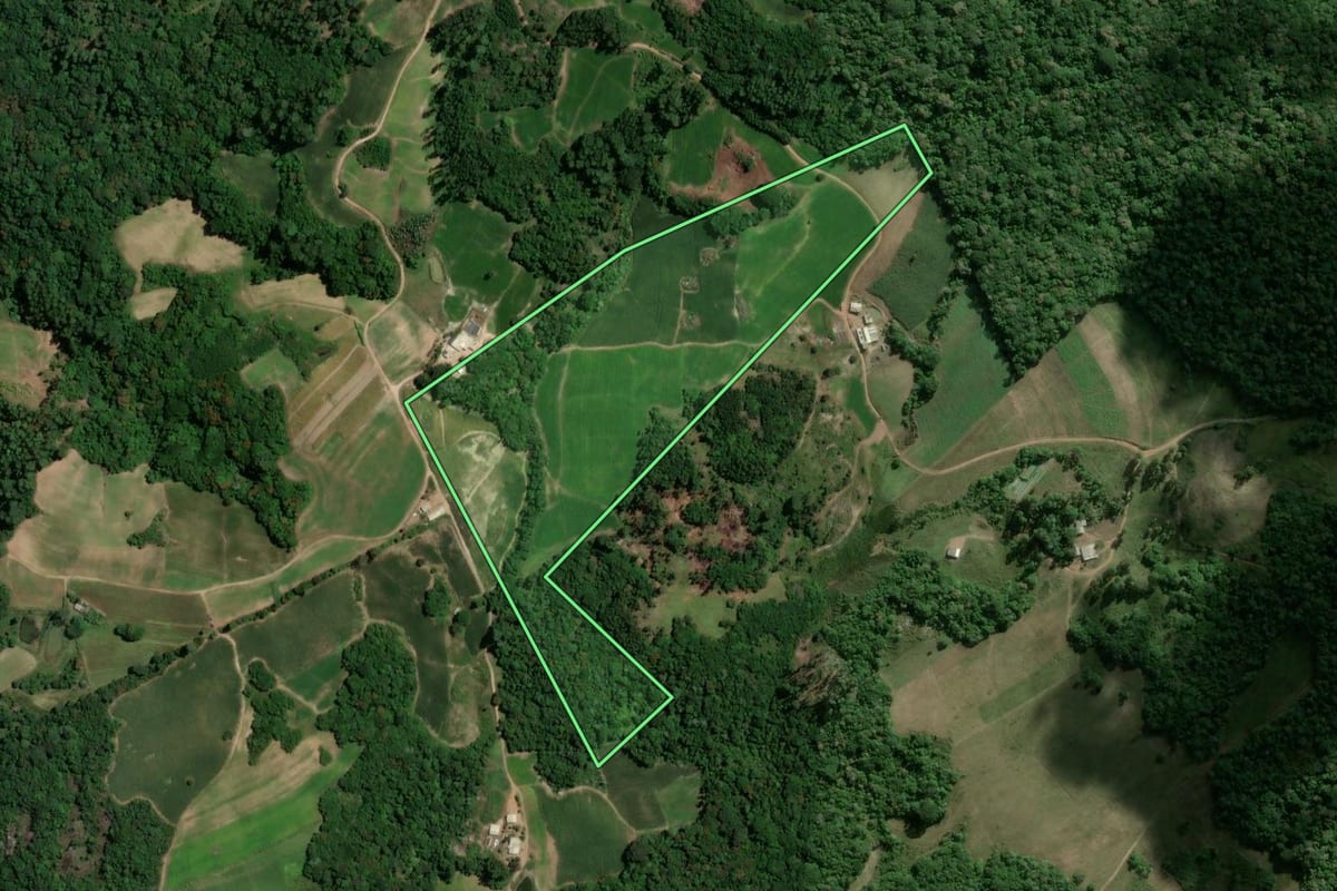 Imagem de satélite do imóvel rural em Camaquã (RS), com o contorno declarado no CAR desenhado por cima.