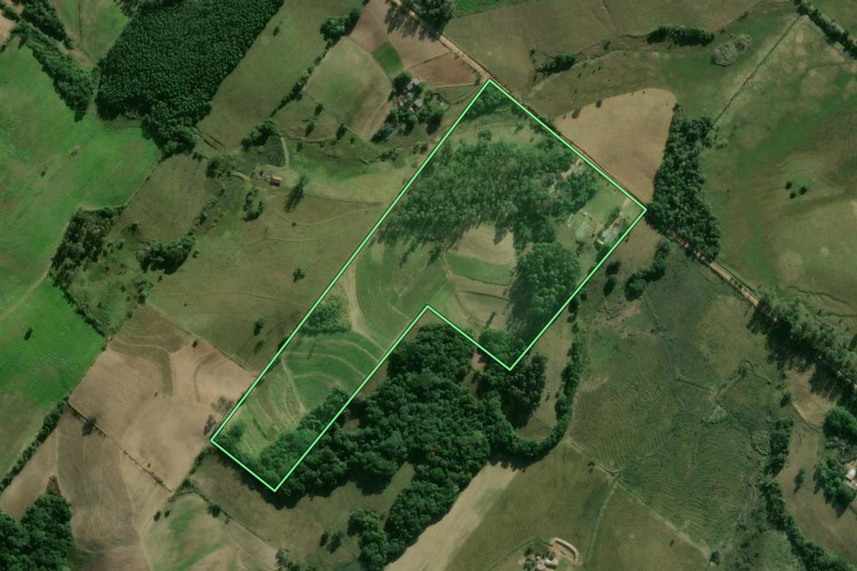 Imagem de satélite do imóvel rural em Camaquã (RS), com o contorno declarado no CAR desenhado por cima.