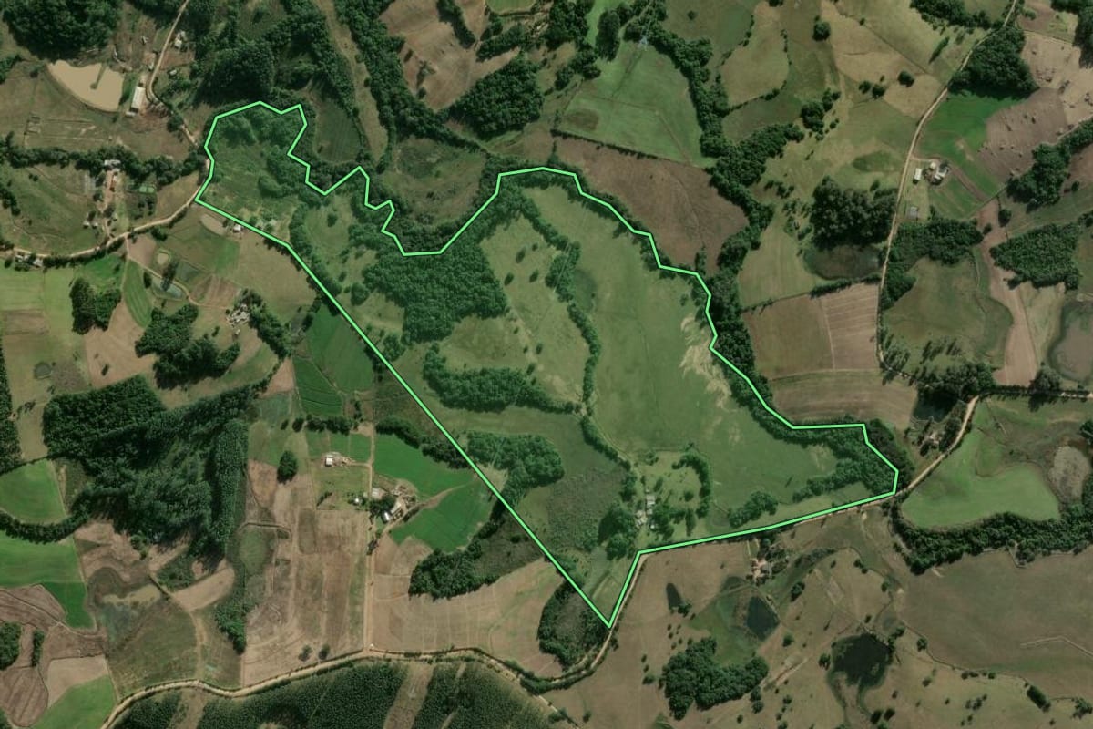 Imagem de satélite do imóvel rural em Camaquã (RS), com o contorno declarado no CAR desenhado por cima.
