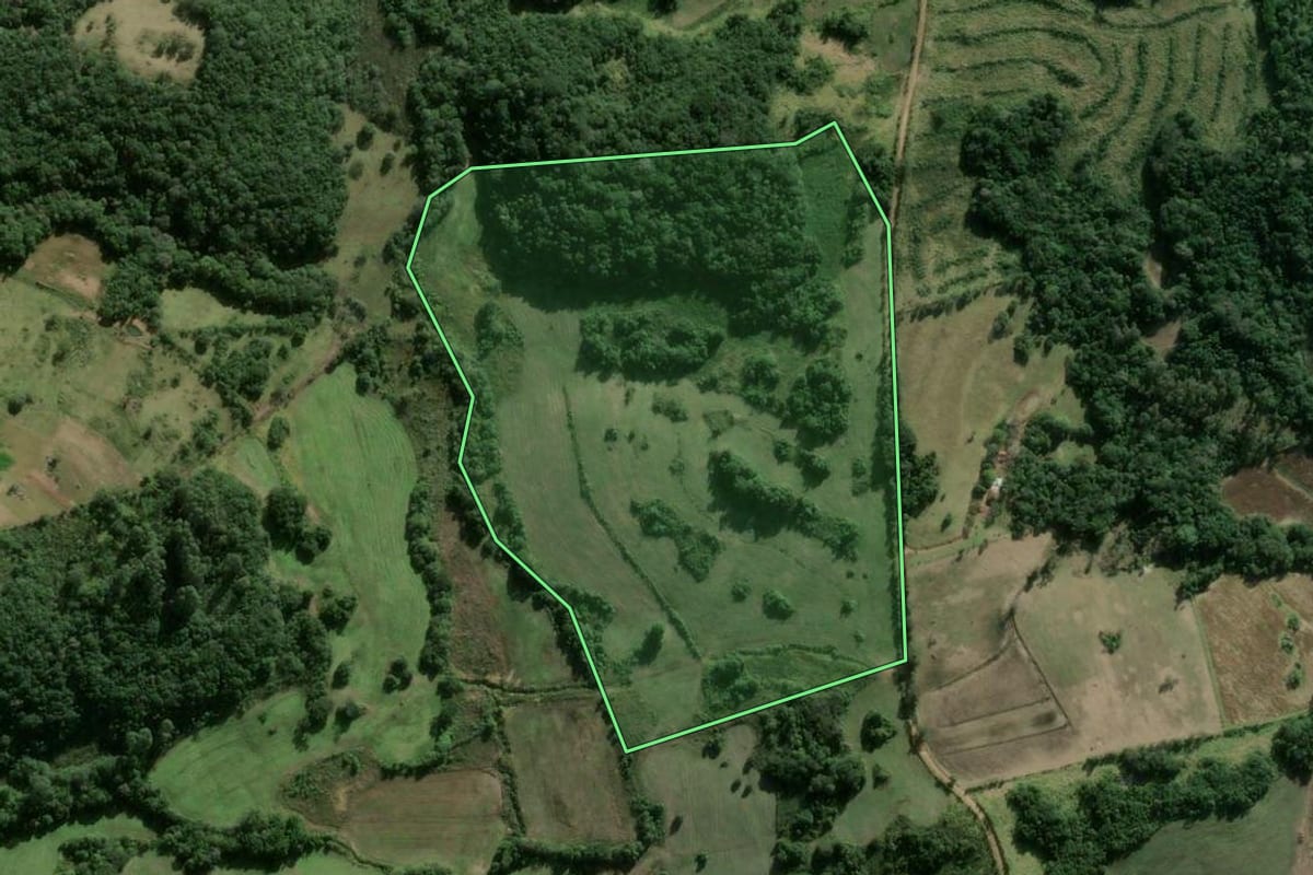 Imagem de satélite do imóvel rural em Camaquã (RS), com o contorno declarado no CAR desenhado por cima.