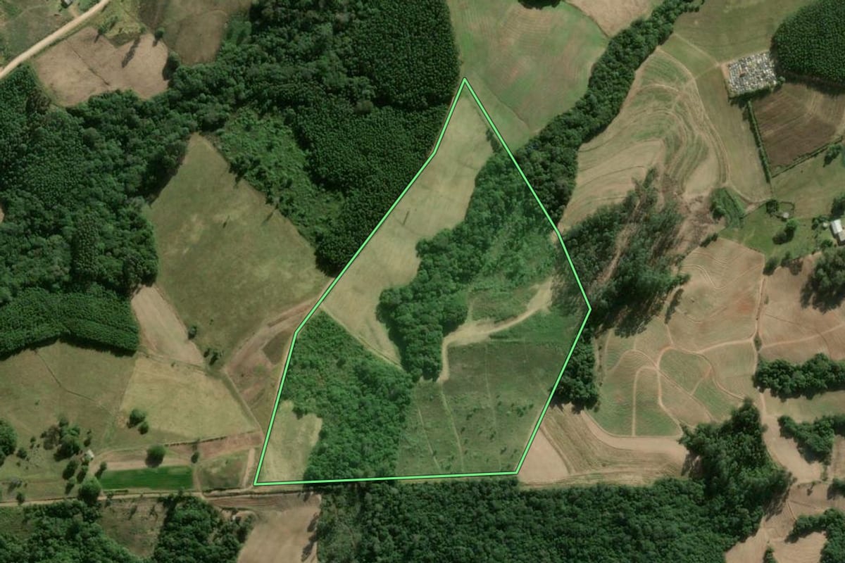 Imagem de satélite do imóvel rural em Camaquã (RS), com o contorno declarado no CAR desenhado por cima.
