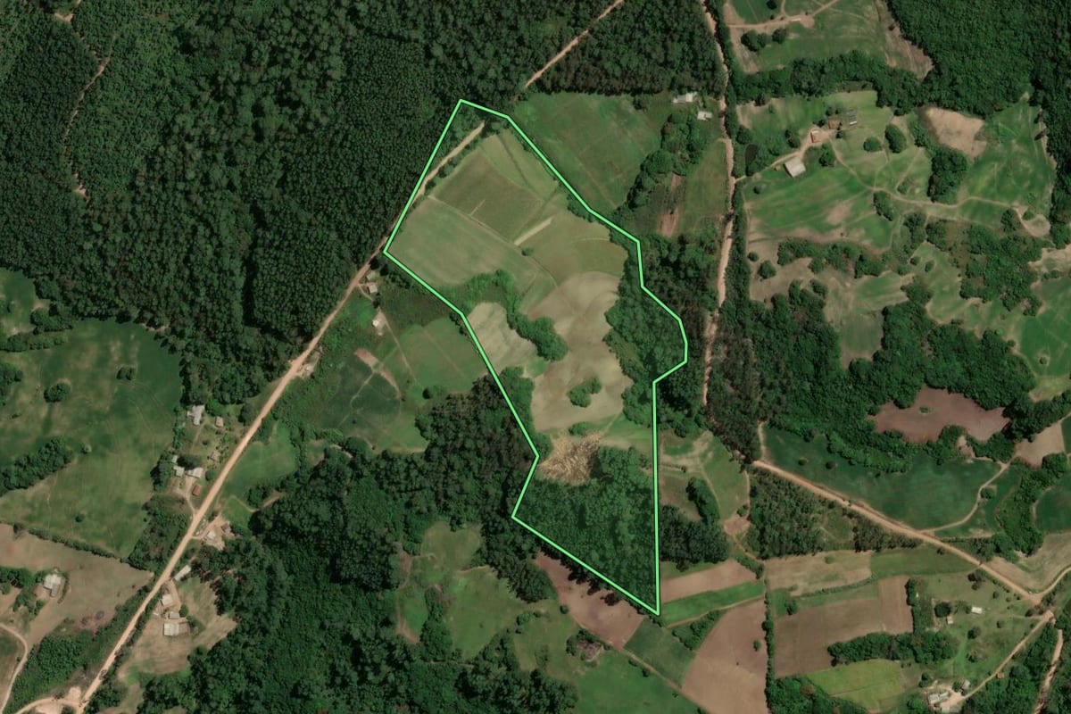 Imagem de satélite do imóvel rural em Camaquã (RS), com o contorno declarado no CAR desenhado por cima.
