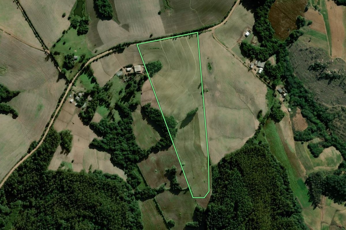 Imagem de satélite do imóvel rural em Camaquã (RS), com o contorno declarado no CAR desenhado por cima.