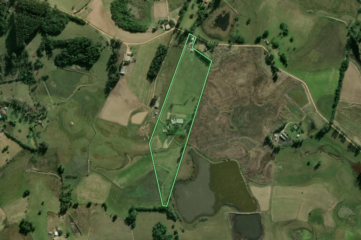 Imagem de satélite do imóvel rural em Camaquã (RS), com o contorno declarado no CAR desenhado por cima.