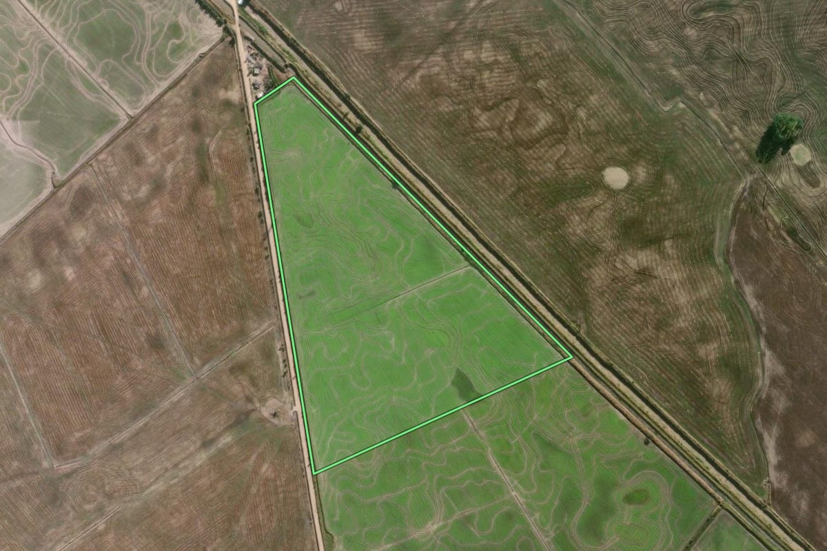 Imagem de satélite do imóvel rural em Camaquã (RS), com o contorno declarado no CAR desenhado por cima.