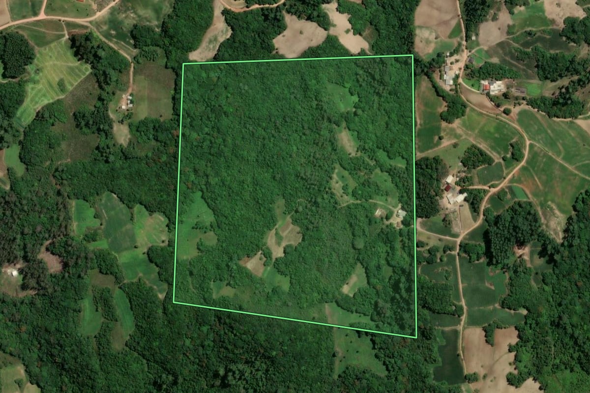 Imagem de satélite do imóvel rural em Camaquã (RS), com o contorno declarado no CAR desenhado por cima.