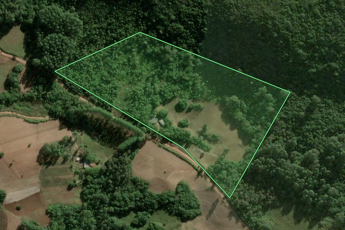 Imagem de satélite do imóvel rural em Camaquã (RS), com o contorno declarado no CAR desenhado por cima.