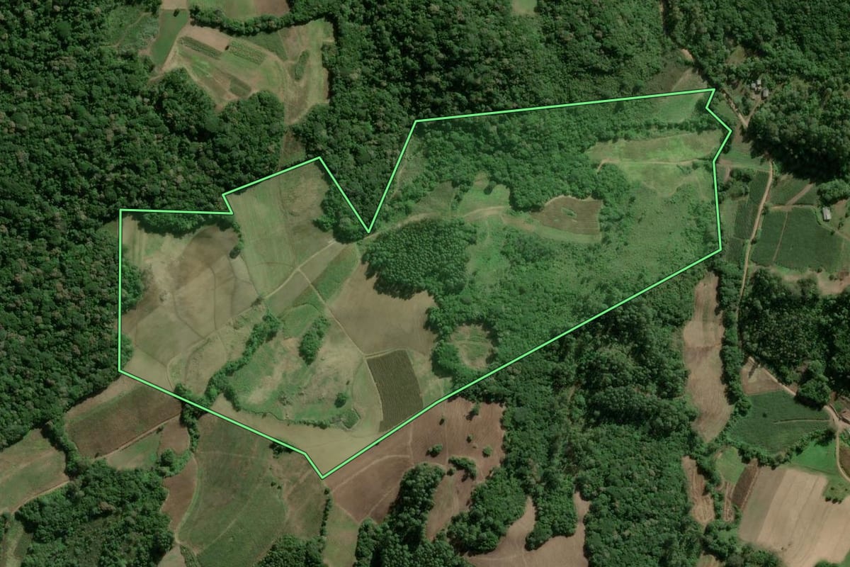 Imagem de satélite do imóvel rural em Camaquã (RS), com o contorno declarado no CAR desenhado por cima.