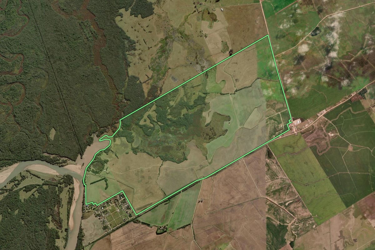 Imagem de satélite do imóvel rural em Camaquã (RS), com o contorno declarado no CAR desenhado por cima.