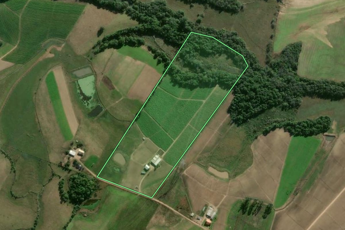 Imagem de satélite do imóvel rural em Camaquã (RS), com o contorno declarado no CAR desenhado por cima.