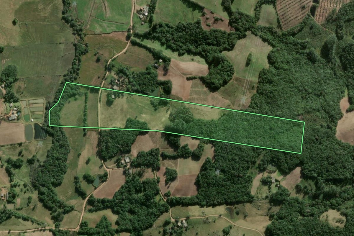 Imagem de satélite do imóvel rural em Camaquã (RS), com o contorno declarado no CAR desenhado por cima.
