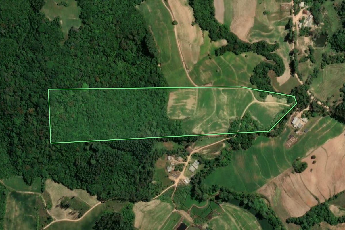 Imagem de satélite do imóvel rural em Camaquã (RS), com o contorno declarado no CAR desenhado por cima.