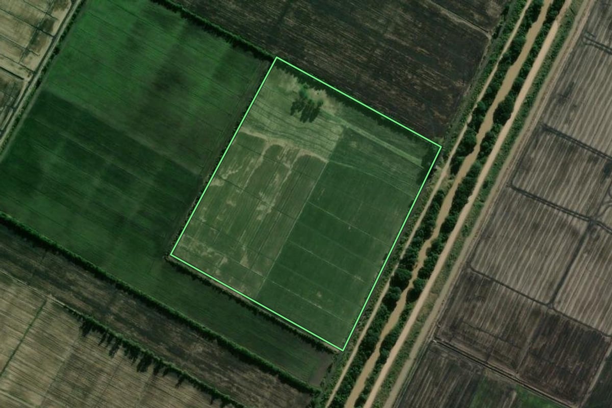 Imagem de satélite do imóvel rural em Camaquã (RS), com o contorno declarado no CAR desenhado por cima.