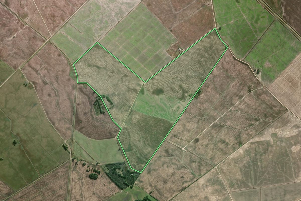 Imagem de satélite do imóvel rural em Camaquã (RS), com o contorno declarado no CAR desenhado por cima.