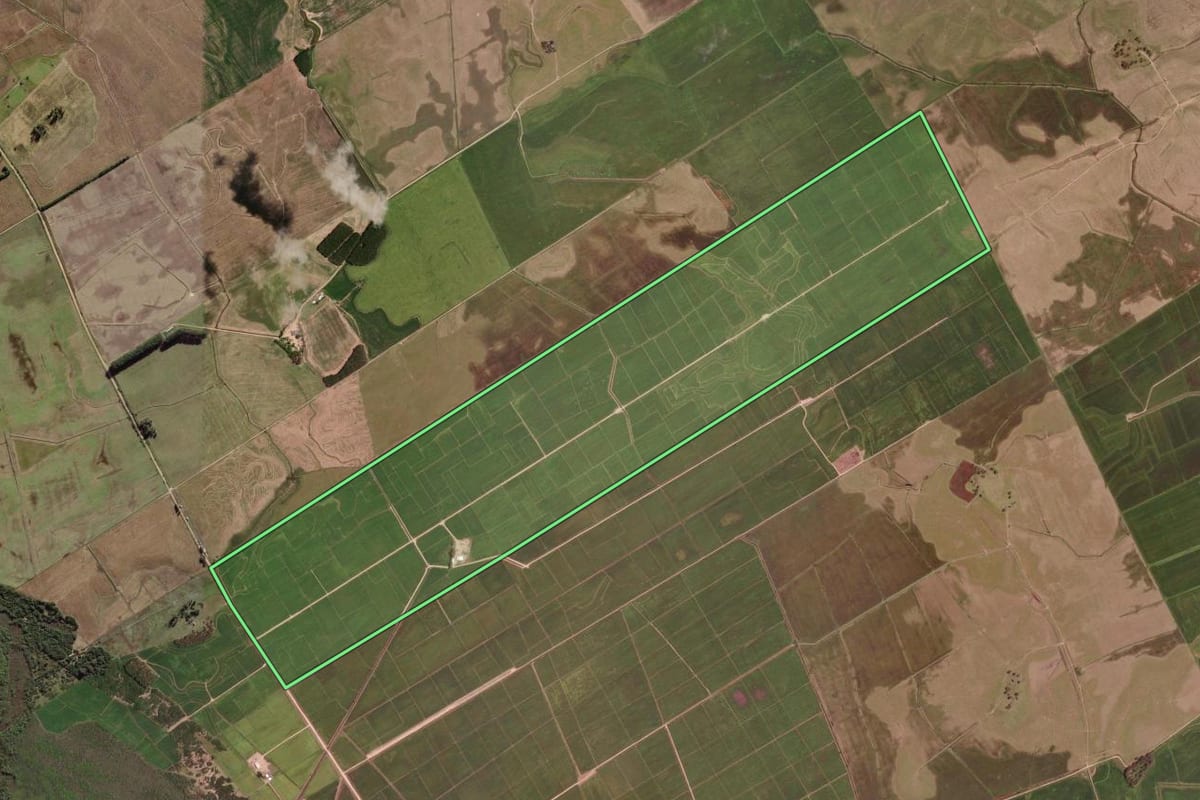 Imagem de satélite do imóvel rural em Camaquã (RS), com o contorno declarado no CAR desenhado por cima.