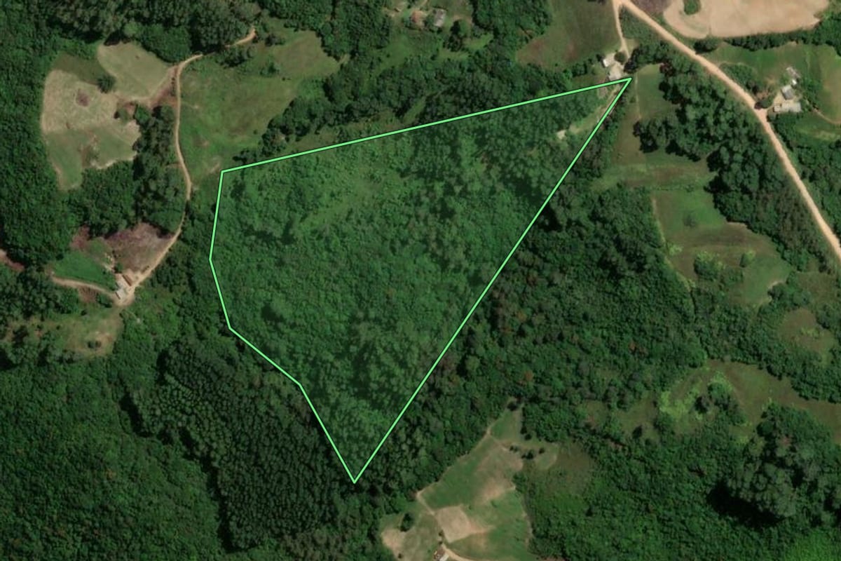 Imagem de satélite do imóvel rural em Camaquã (RS), com o contorno declarado no CAR desenhado por cima.