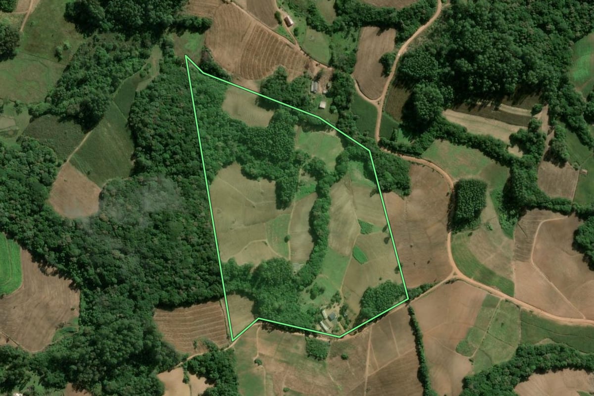 Imagem de satélite do imóvel rural em Camaquã (RS), com o contorno declarado no CAR desenhado por cima.
