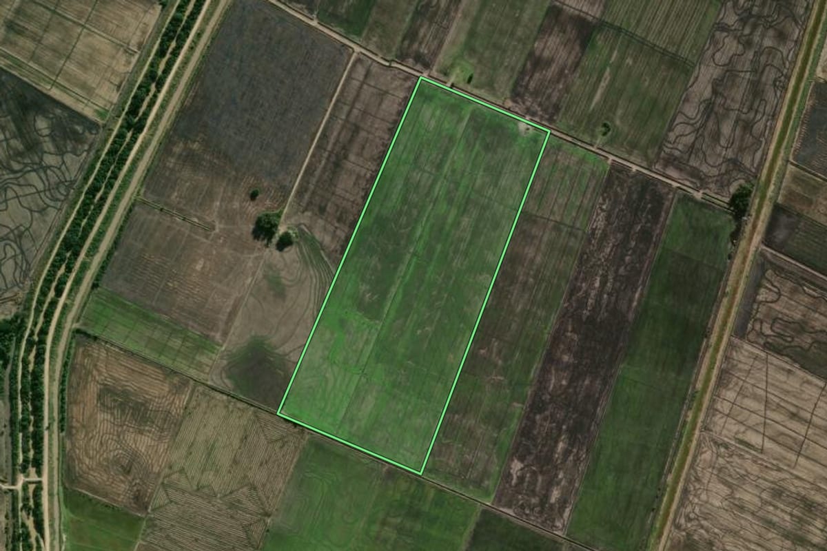 Imagem de satélite do imóvel rural em Camaquã (RS), com o contorno declarado no CAR desenhado por cima.