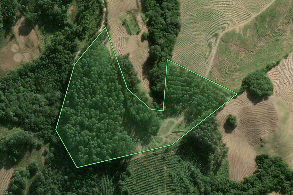 Imagem de satélite do imóvel rural em Camaquã (RS), com o contorno declarado no CAR desenhado por cima.