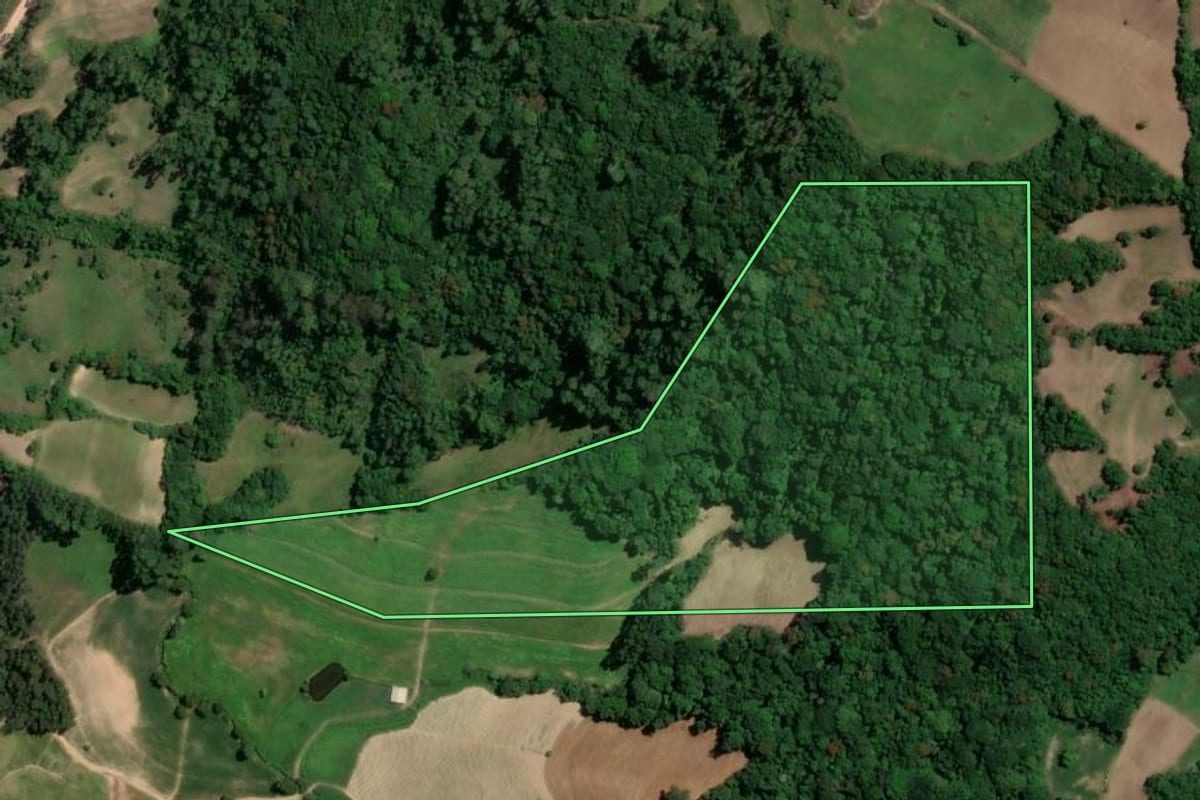 Imagem de satélite do imóvel rural em Camaquã (RS), com o contorno declarado no CAR desenhado por cima.