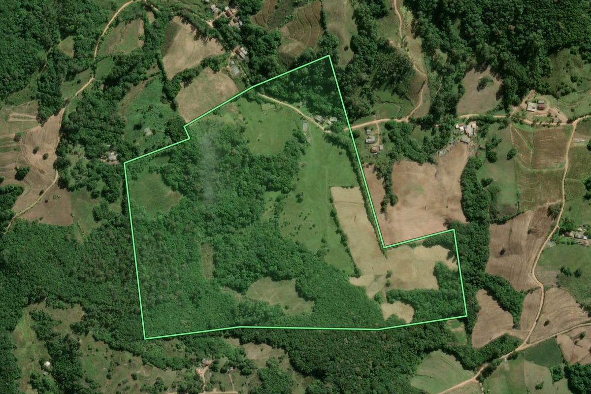 Imagem de satélite do imóvel rural em Camaquã (RS), com o contorno declarado no CAR desenhado por cima.