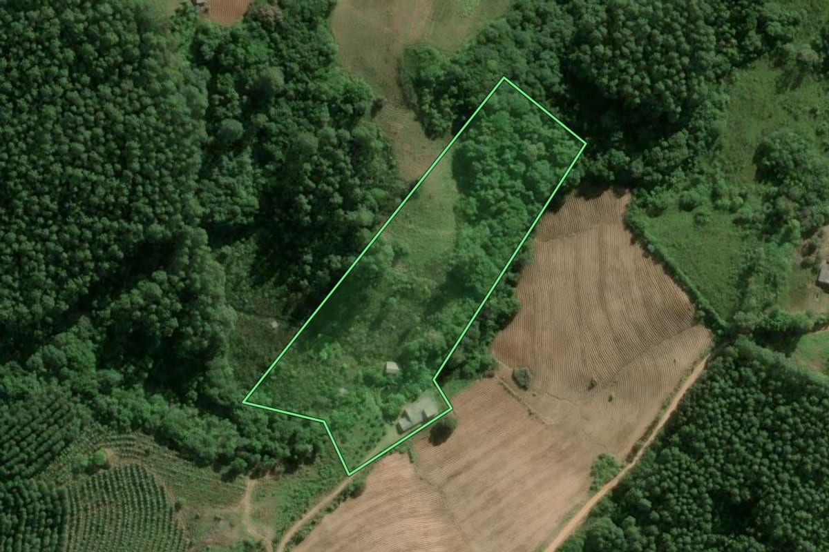Imagem de satélite do imóvel rural em Camaquã (RS), com o contorno declarado no CAR desenhado por cima.