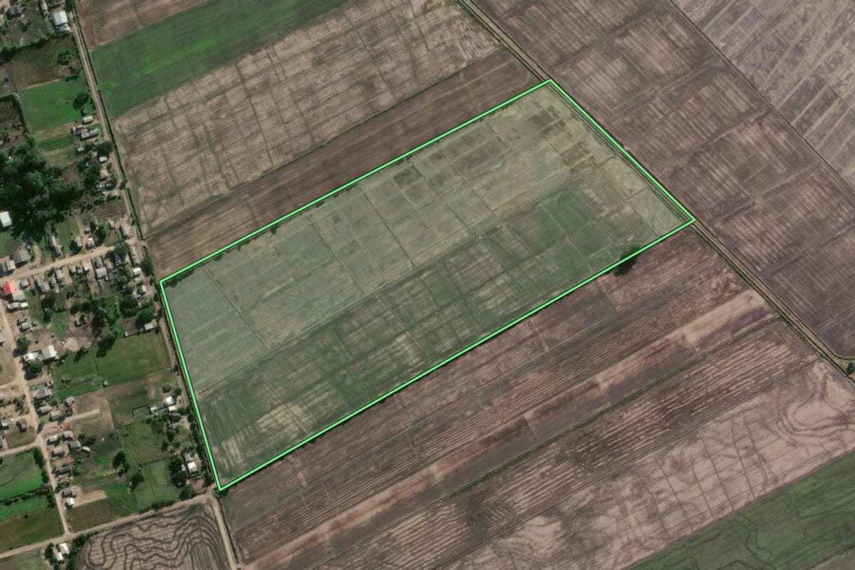 Imagem de satélite do imóvel rural em Camaquã (RS), com o contorno declarado no CAR desenhado por cima.